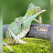 @joemanganese's avatar