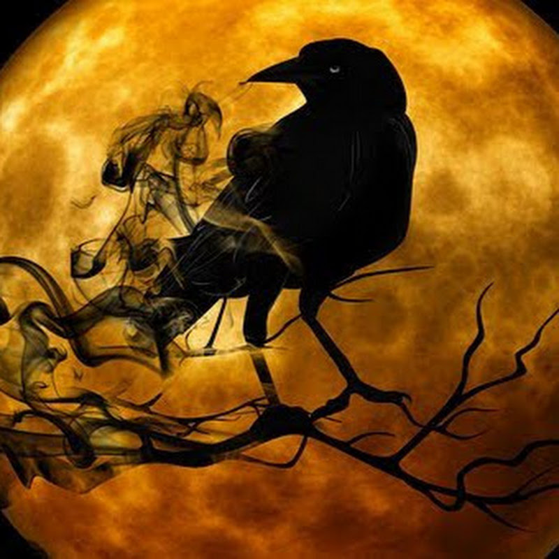 Raven