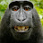 avatar of @donkalu1764