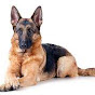 THE LOYAL K-9 logo