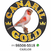 Canaril Gold