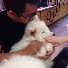 _CrvYhlJzQM-channel-avatar-Viet Breeder