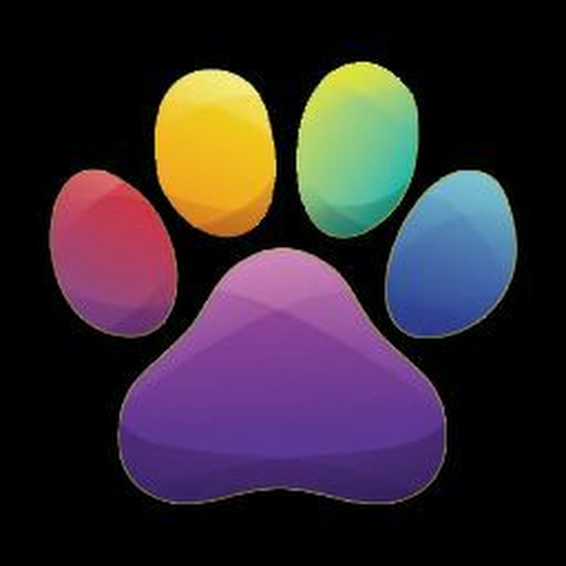 Lion TechTalk