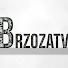 XQtUg2aruGk-channel-avatar-Brzoza TV
