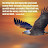 @Proverbs16v3