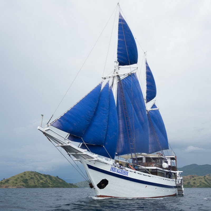 indoaggressorindonesia8678