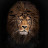 @LionKing-wo3ts