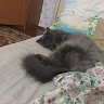 Автор