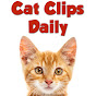 Cat Clips Daily