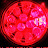 @RED_indiemusic's avatar