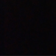 DollarsignDzTv