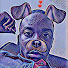 sEspfDyl3Nk-channel-avatar-James Fletcher Jr