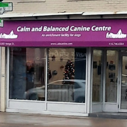Calm and Balanced Canine