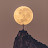 @robertbeato3731's avatar