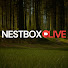 4Bo1Gi4j_xc-channel-avatar-Nest Box Live
