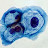 @masoodsiddiqui6955's avatar