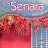 IES Senara