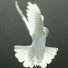 euGunAevcgQ-channel-avatar-andysfantails