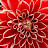 author-img