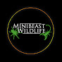 Minibeast Wildlife
