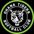Ohana Tigers GA 2012