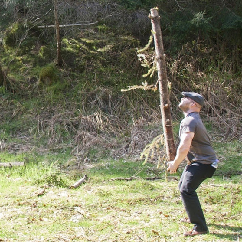 Bucksturdie