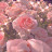 @이로케요로케