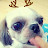 @최주영-t6f