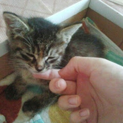 あいうえおかきくけこ