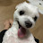 @user-gp3zl9hk6s