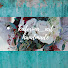 ksCc-Qp5Fwc-channel-avatar-Katerina_art