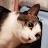 @nodiggin's avatar