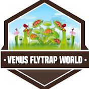 Venus Flytrap World