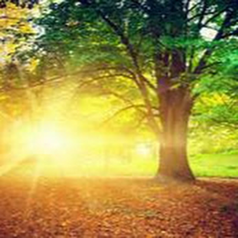 light air