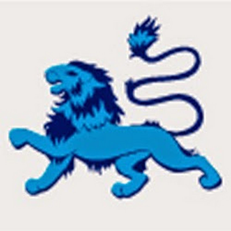 Blue Lion Video