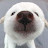 @Mike_Malloy's avatar