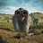 @stuartwilliams7371's avatar