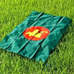 S m jibon