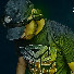 vqH1I07tKl0-channel-avatar-Phatcat Productionz