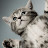 @kaoutarelmahmoudi1938's avatar