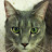 @sydneywood4398 Avatar