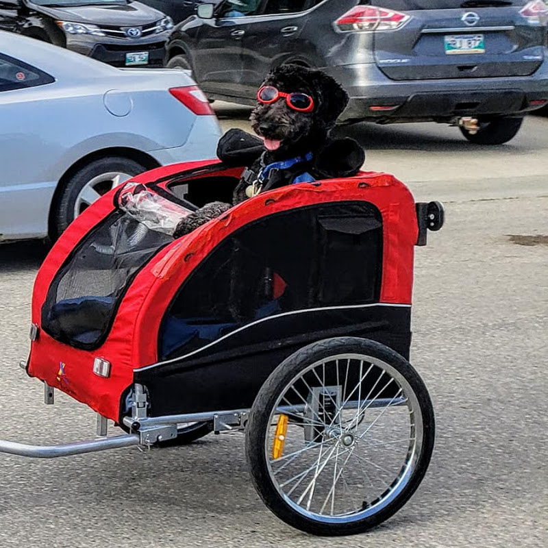 Po “Polaris big adventures”