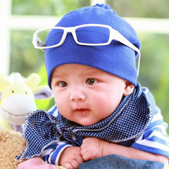 秦琴アイコン画像