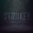 wB5h7VwW8GU-channel-avatar-TheStriikeyBoy