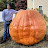 Northeast Giant Pumpkin
