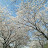 @하륜-q5l