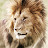 @elynpineracorpuz331's avatar