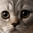 @gingerAV's avatar