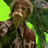 -jpKjwsDaJA-channel-avatar-Bilbo Baggins