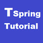 Tee Spring and Online Solution